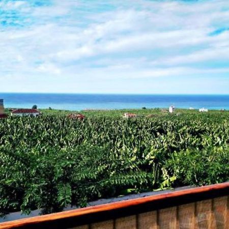 Apartamento El Tejar Tazacorte Extérieur photo